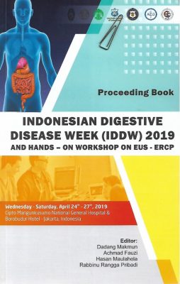 Proceeding Book IDDW 2019